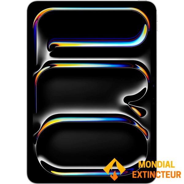 Apple - Ipad Pro 11’’ Wi-Fi 256 Go verre standard - Argent