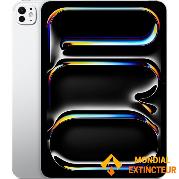 Apple - Ipad Pro 11’’ Wi-Fi 256 Go verre standard - Argent