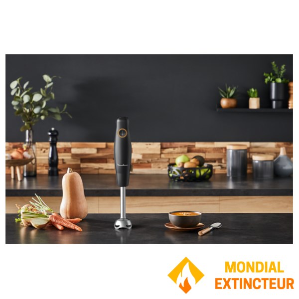 Moulinex - Pied mixeur Eco respect noir