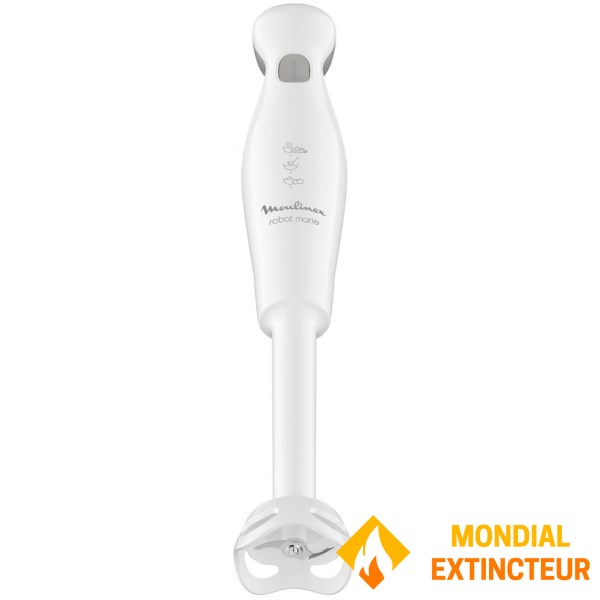 Moulinex - Pied mixeur Marie avec accessoires