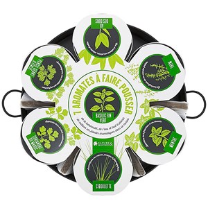 Nature et decouvertes - Plantation 7 aromates sur plateau