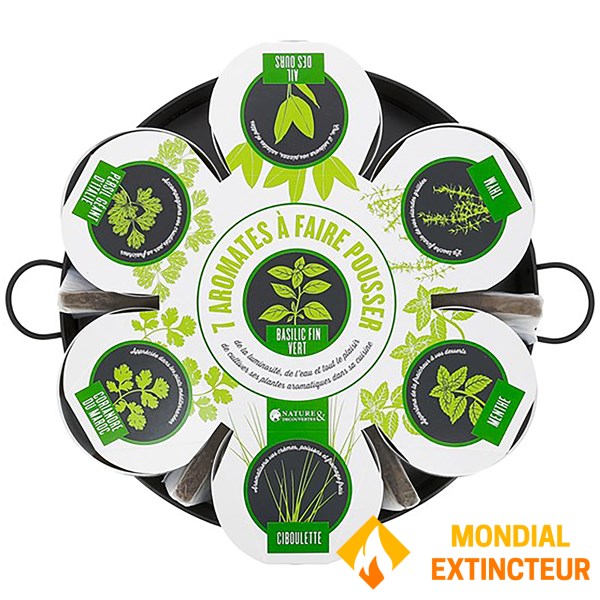Nature et decouvertes - Plantation 7 aromates sur plateau
