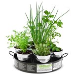 Nature et decouvertes - Plantation 7 aromates sur plateau