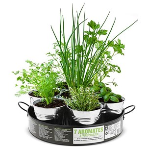 Nature et decouvertes - Plantation 7 aromates sur plateau