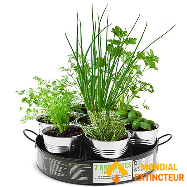 Nature et decouvertes - Plantation 7 aromates sur plateau