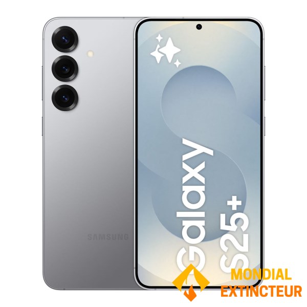 Samsung - Smartphone Galaxy S25 + 256 go gris