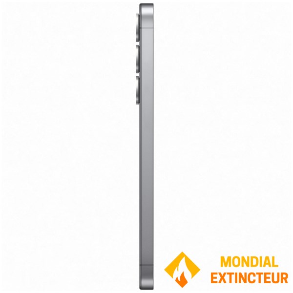 Samsung - Smartphone Galaxy S25 5G silver 128 Go