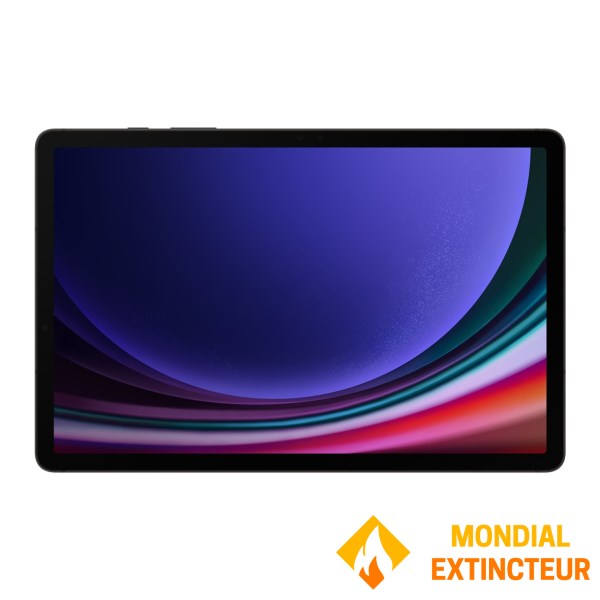 Samsung - Tablette tactile Galaxy Tab S9 11pouces 128 Go