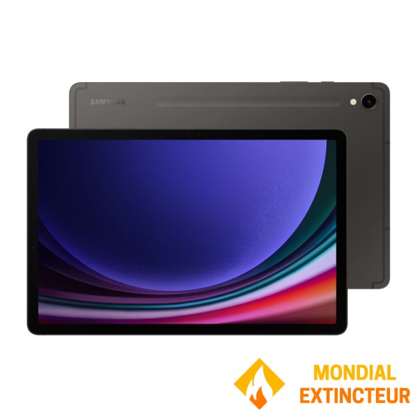 Samsung - Tablette tactile Galaxy Tab S9 11pouces 128 Go