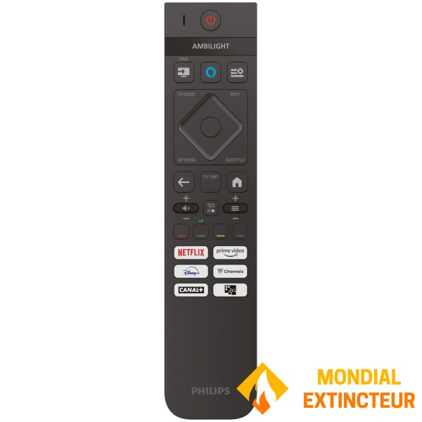 Philips - Téléviseur 24" LED 2K HDTV