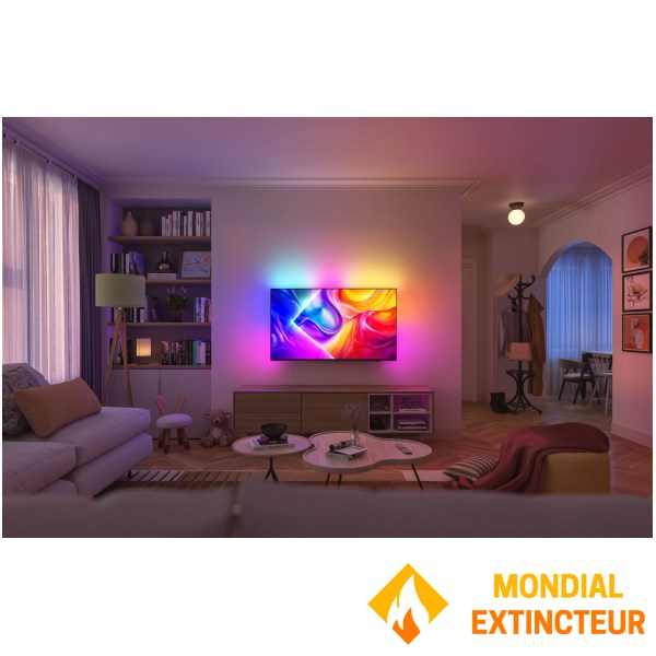 Philips - Téléviseur 50" The One - QLED