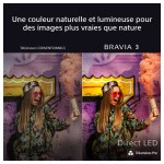 Sony - Téléviseur 65" Bravia 3 Direct Led