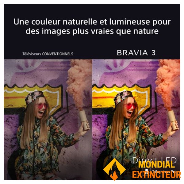 Sony - Téléviseur 65" Bravia 3 Direct Led