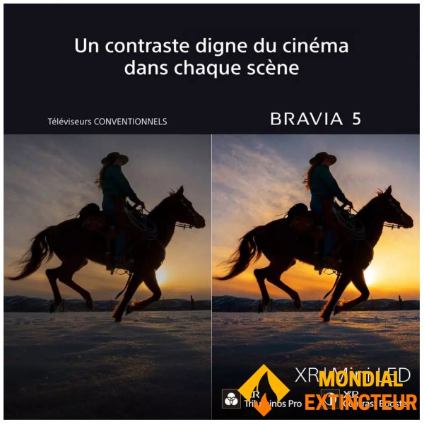 Sony - Téléviseur 75 pouces Bravia 5 MiniLED