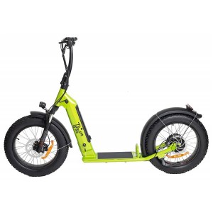 Toad - Trottinette Electrique Tapageur tout chemin