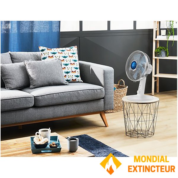 Rowenta - Ventilateur Turbo Silence Extreme+