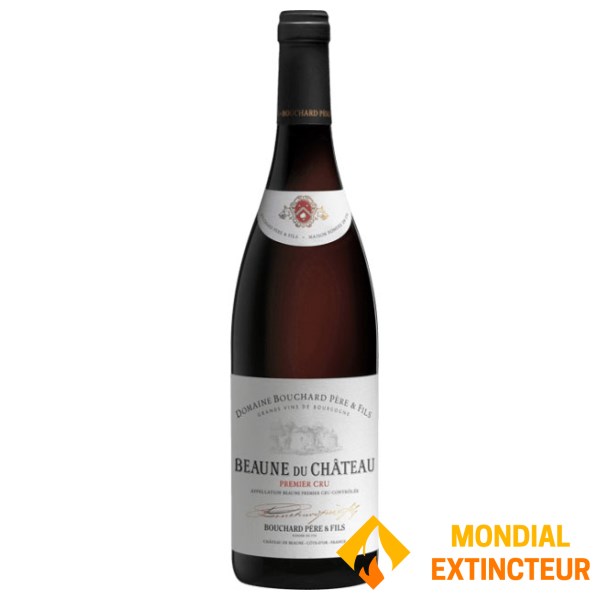 Bouchard P et F - Vin Blanc X6 Beaune du Château 1er Cru 2022