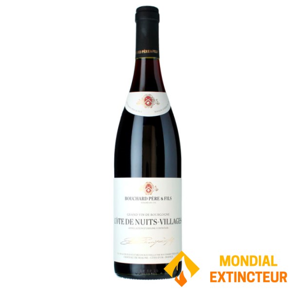 Bouchard P et F - Vin rouge Côte de Nuits Village - 75 cl