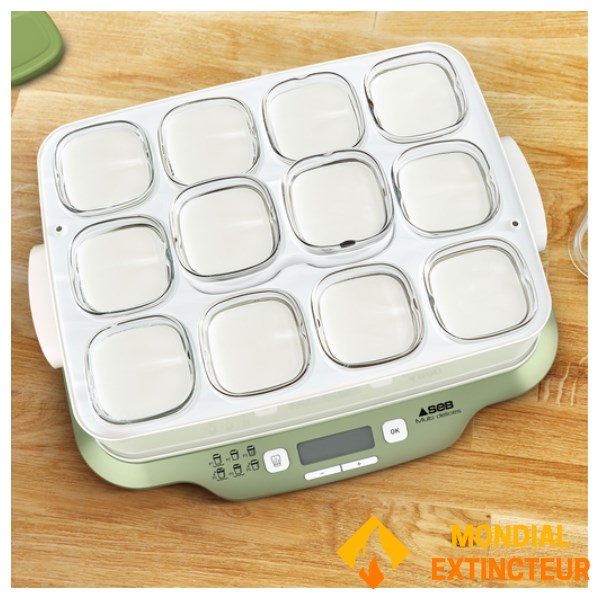 Seb - Yaourtière Multi Delices Express & Végétal 12 pots