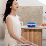 Terraillon - Zen Box  Méditation