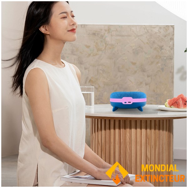 Terraillon - Zen Box  Méditation