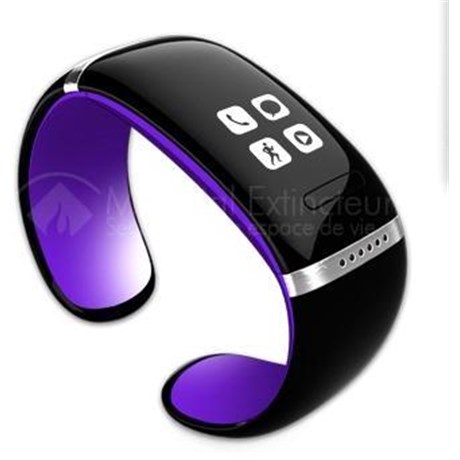 Montre bracelet intelligente connectée