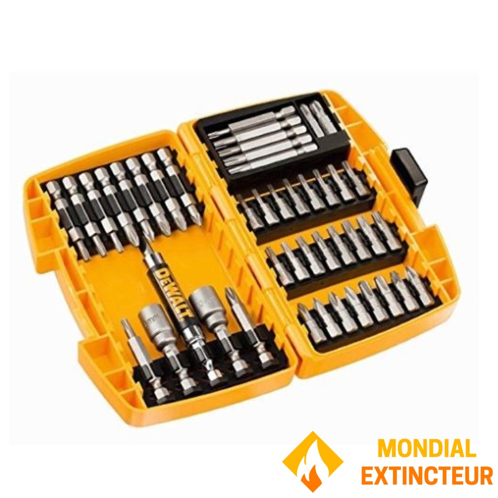 DeWALT Accessoires - Set d'embouts PZ2, 15 pièces DT70618T