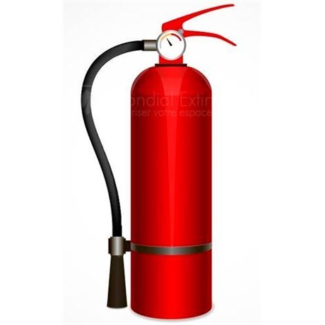 Extincteur 9L Eau + Additif N.F Pression Auxilliaire