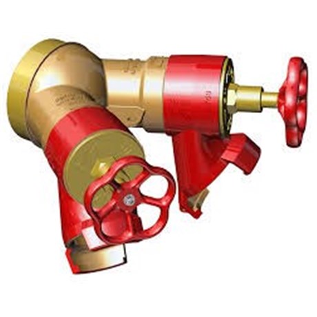 Prise double colonne humide DN65
