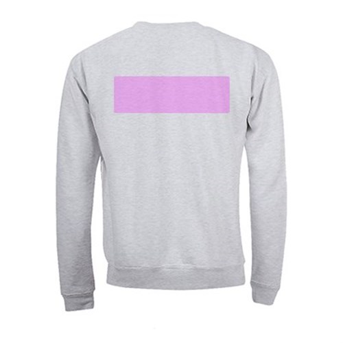5 sweatshirts personnalisés gris - Taille XXL - Flocage dos
