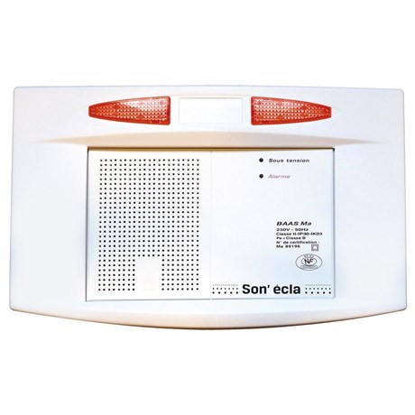 BAAS Manuel flash – son NFS 32001