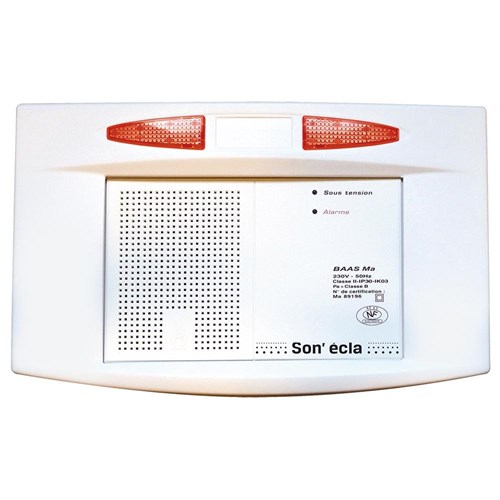 BAAS Manuel flash – son NFS 32001