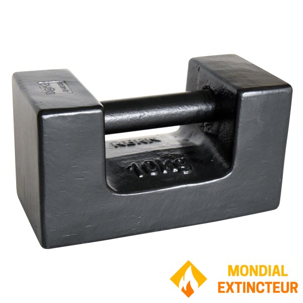 Lot De 10 Poids D'étalonnage 50g Avec Crochet - Pour Expériences De Physique En Lycée, étalonnage D'outils - 9