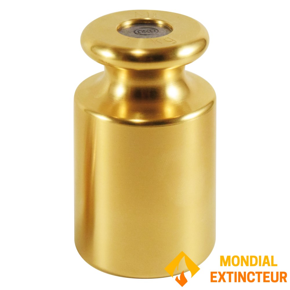 Poids D'étalonnage Analytique Troemner 1kg - Occasion Bon état, Pour Balance De Précision