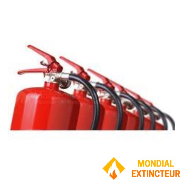 Carton de 6 extincteurs 1 Kg poudre ABC année 2014