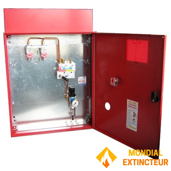 CO2 BOX BOX Bizone "2xOS 2xOS" 500 جم كحد أقصى + وظيفة التهوية - باب زجاجي