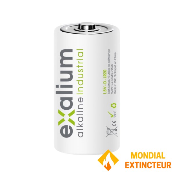 Pile Alcaline Exalium Industrielle LR20 - 1.5V