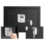 Biometrisk pengeskab med nøgler - 38 liter