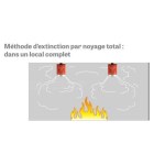 Aérosol d'extinction - Protection pour 20 mètres cube
