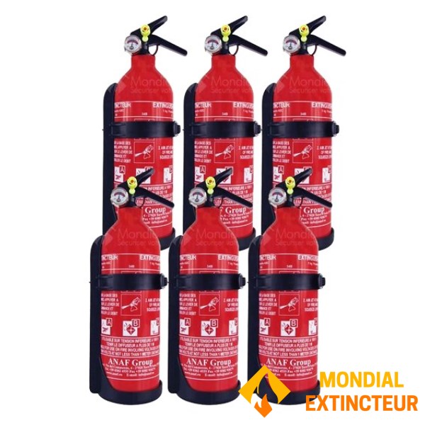 Karton mit 6 Feuerlöschern 1 Kg ABC-Pulver - Marke ANAF