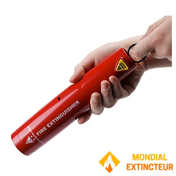 Kompakte Design-Sprühdose für Feuerausbruch - Extinc'torch