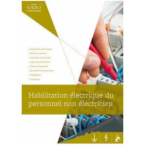 Lehrbuch "Elektrische Ermächtigung" 100er-Set