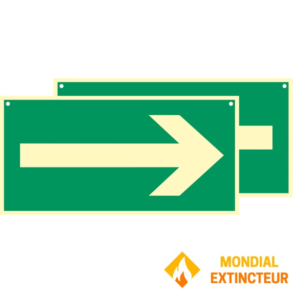 Photolumineszierendes Pfeilschild, beidseitig - 600 x 300 mm