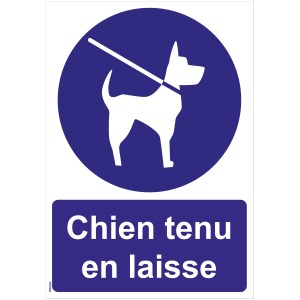 Schilder "Angeleinter Hund" - PVC A4