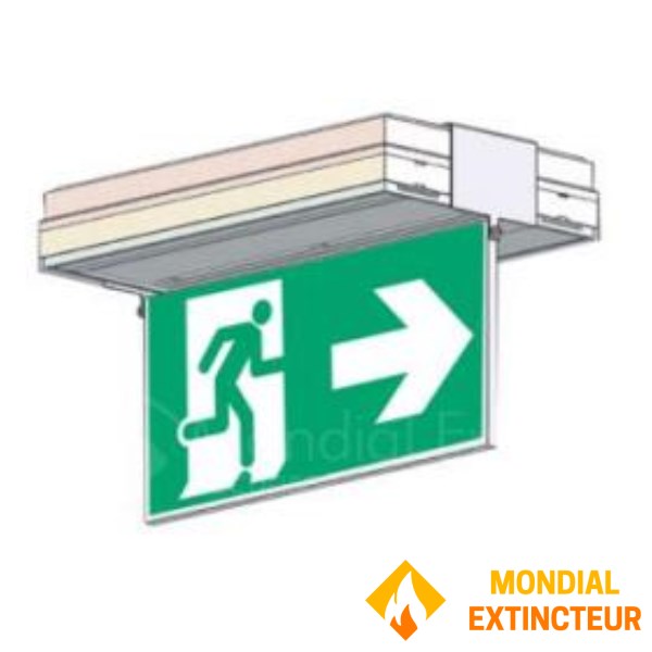 Πόρτα μονής όψης τοποθετημένη στην οροφή με εκτύπωση οθόνης