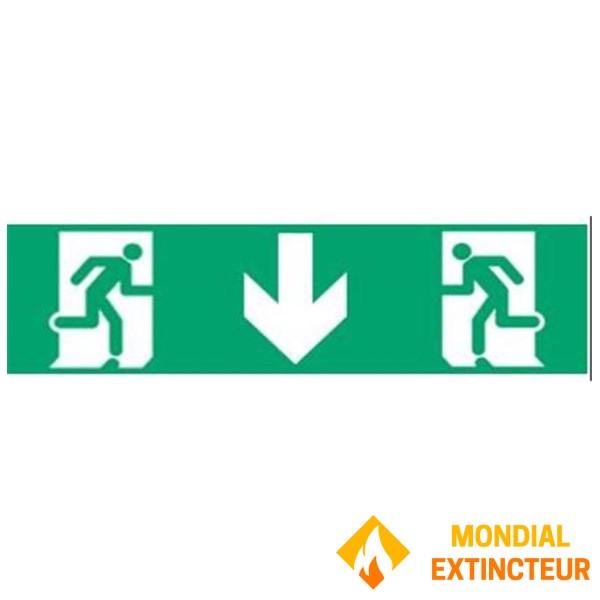 Lot de 10 Blocs d'évacuation ultra plat "XENA FLAT" SATI