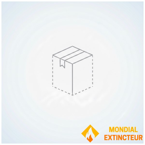 Extincteur 6Kg au HFC236-FA