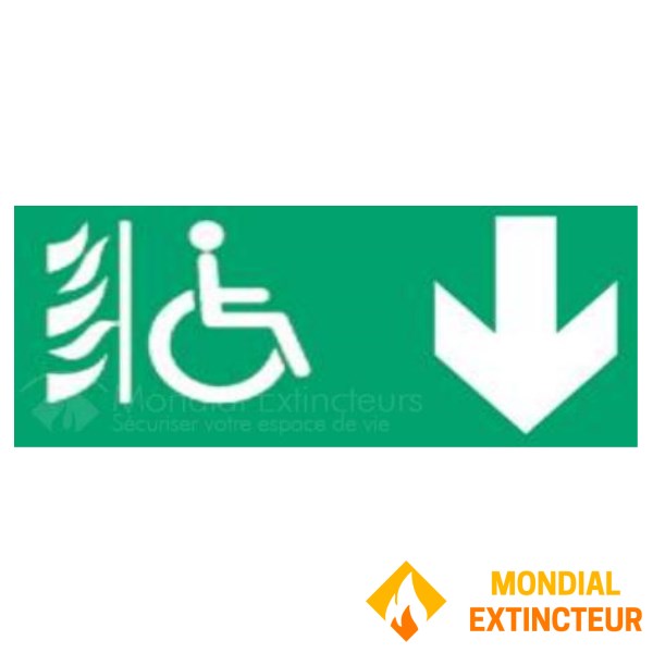 Plaque sérigraphiée pour boîtier tôle - Modèles DIANA 6