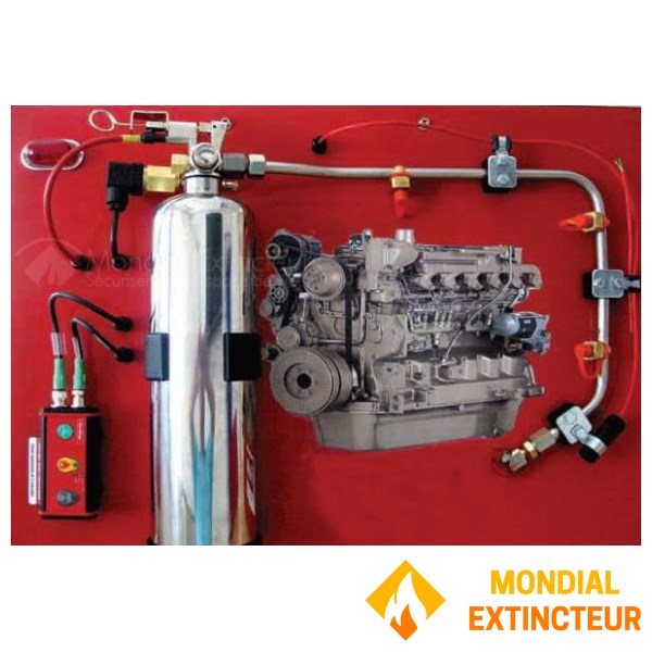Automatic fire extinguisher for rally cars