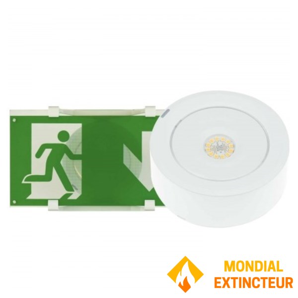 BAES Evacuation "Spazio Luz" For Central Light Source